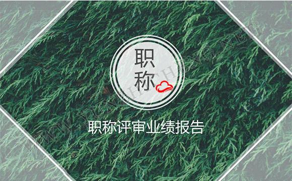 職稱(chēng)評(píng)審業(yè)績(jī)材料