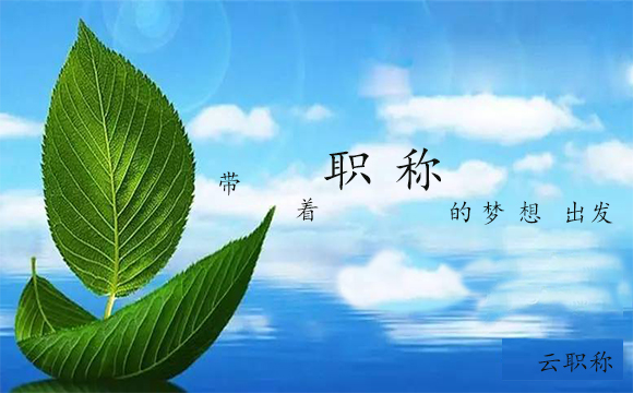 什么情況下可以采取評(píng)職稱(chēng)專(zhuān)利加分
